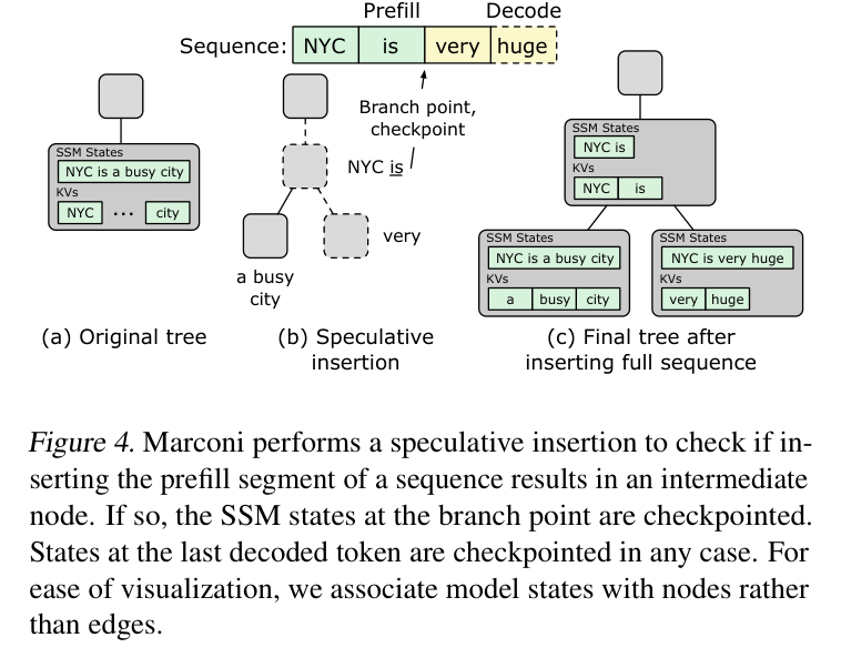 Figure 4: speculative insertion checkpoints SSM state at the branch point and last decoded token