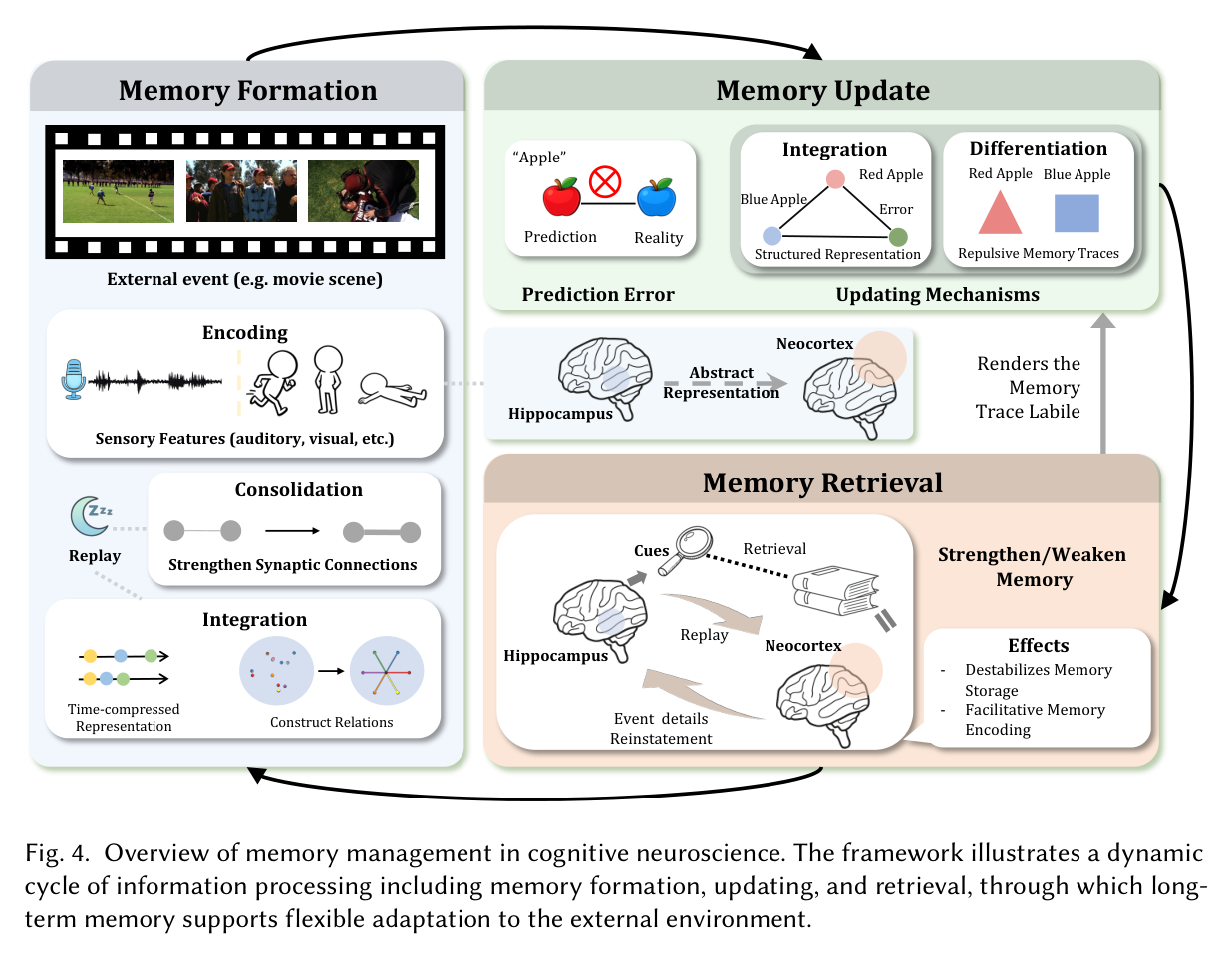 Figure 4: Memory management in cognitive neuroscience