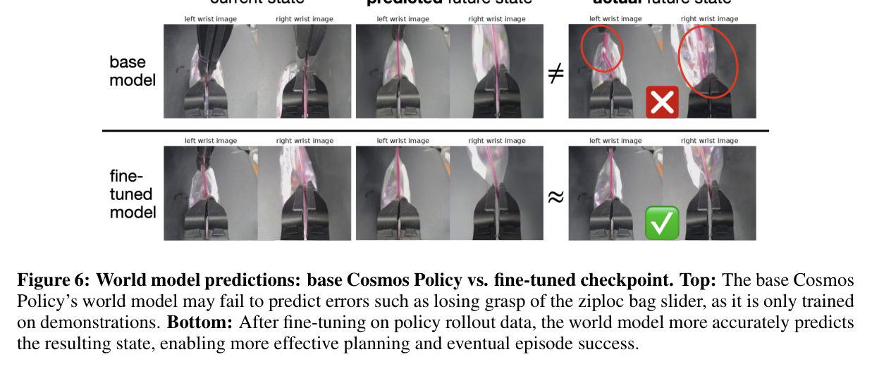 Figure 6: World model predictions before vs after rollout fine-tuning