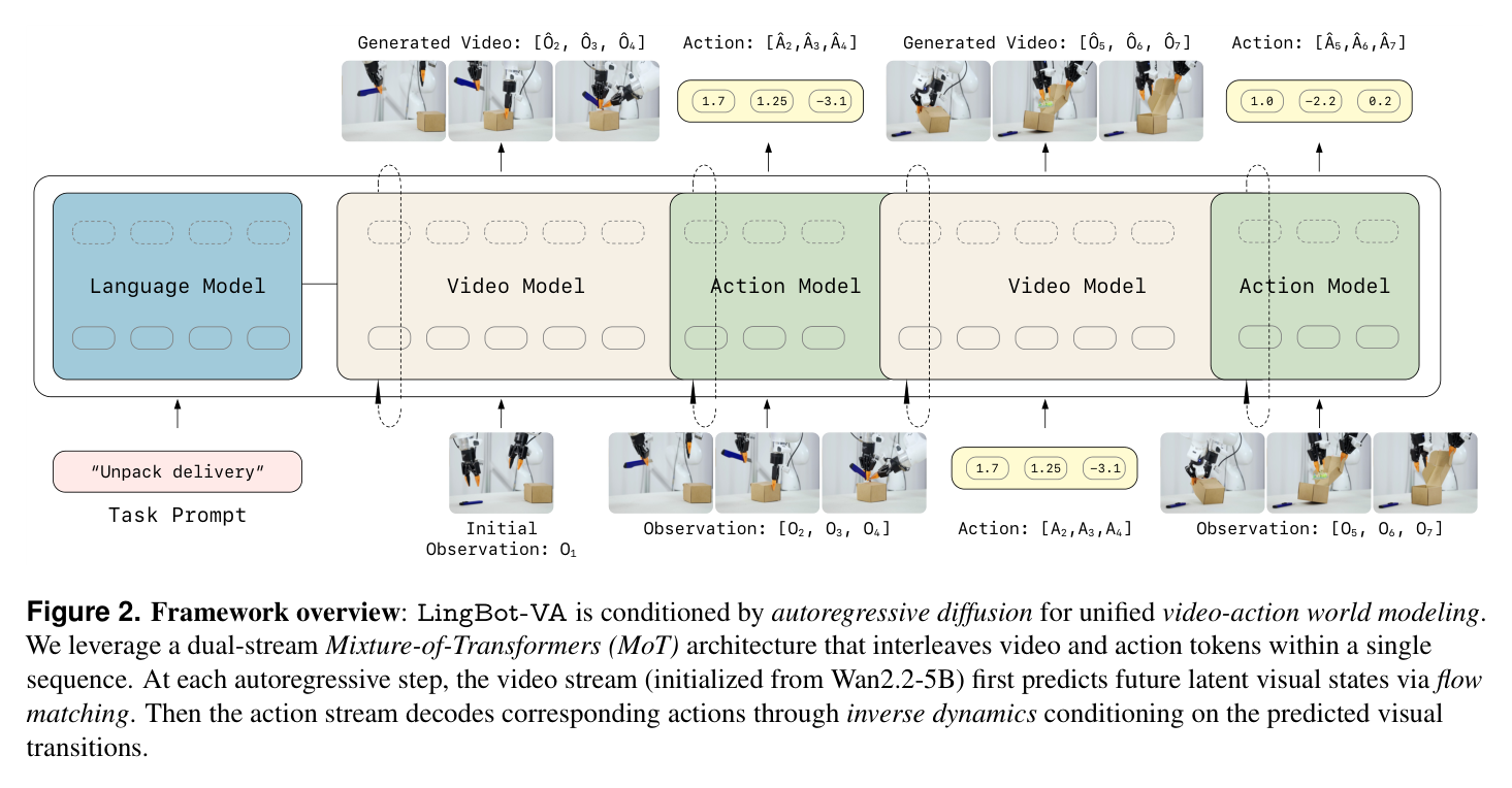 Figure 2: dual-stream MoT autoregressive video-action framework