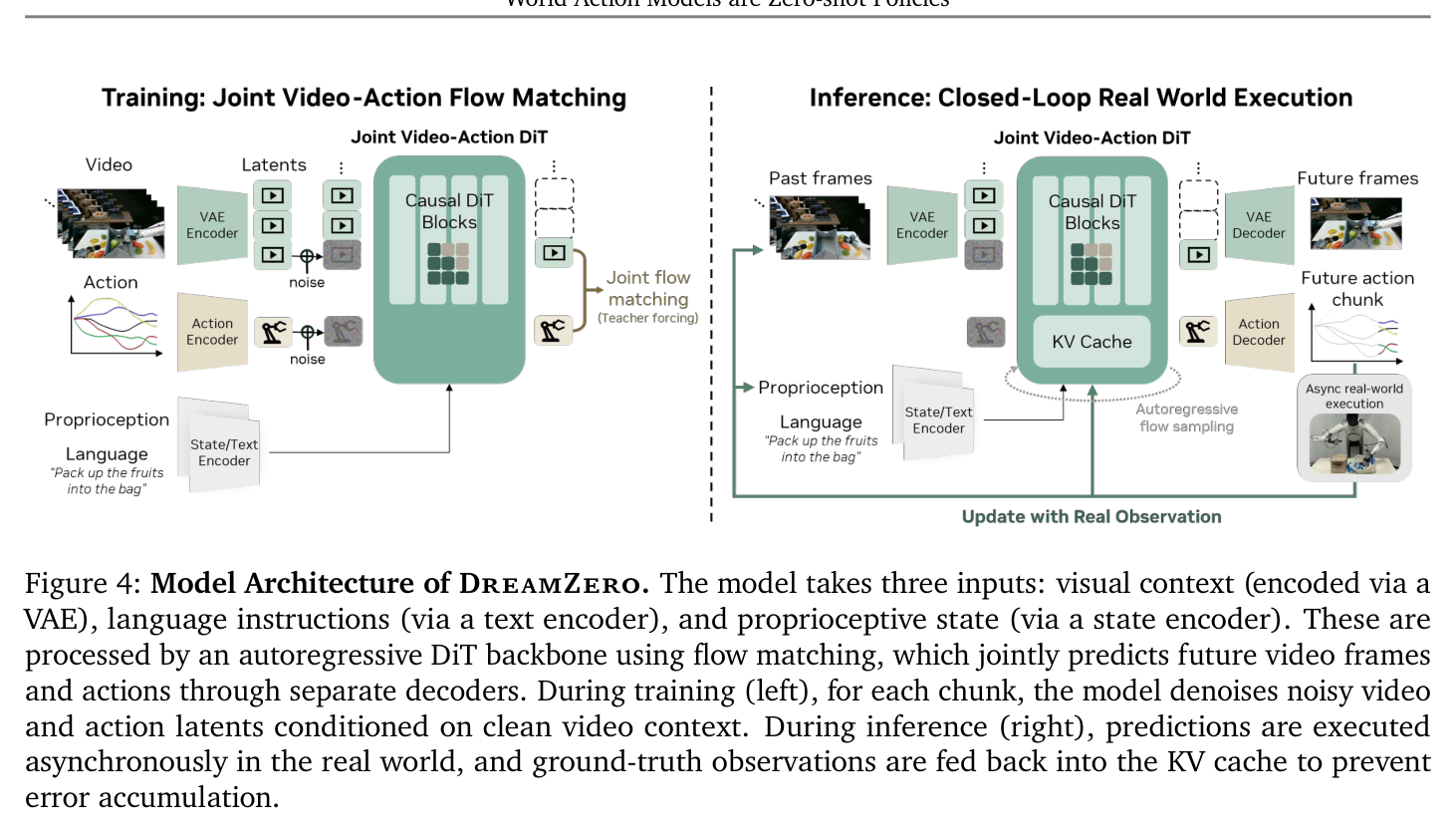 Figure 4: DreamZero architecture — joint video+action DiT with GT KV injection