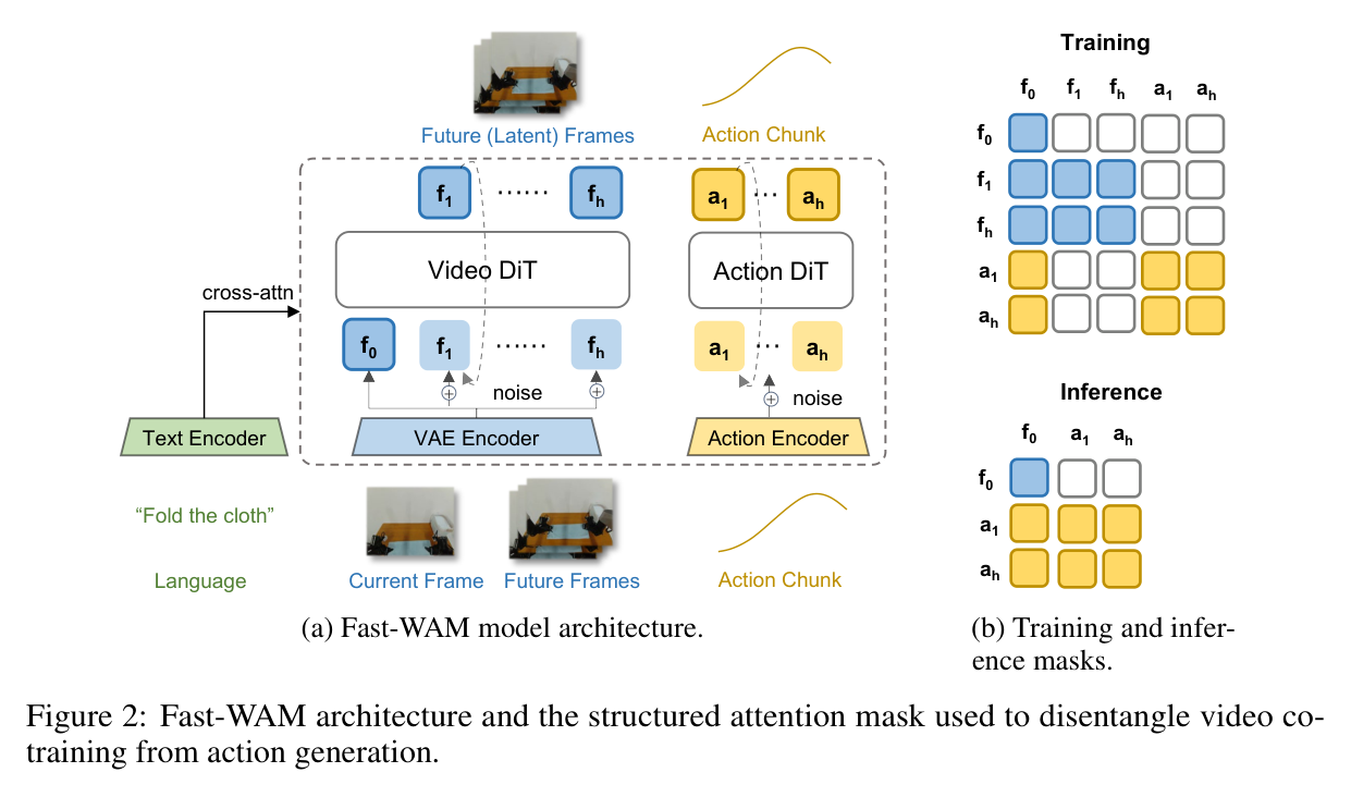 Figure 2: Fast-WAM MoT architecture and structured attention masks